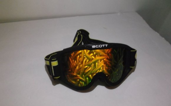 Scott hologram goggles